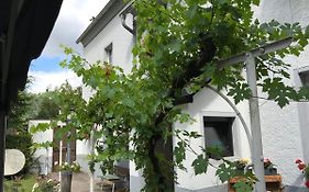 Ferienwohnung Lahnmündung